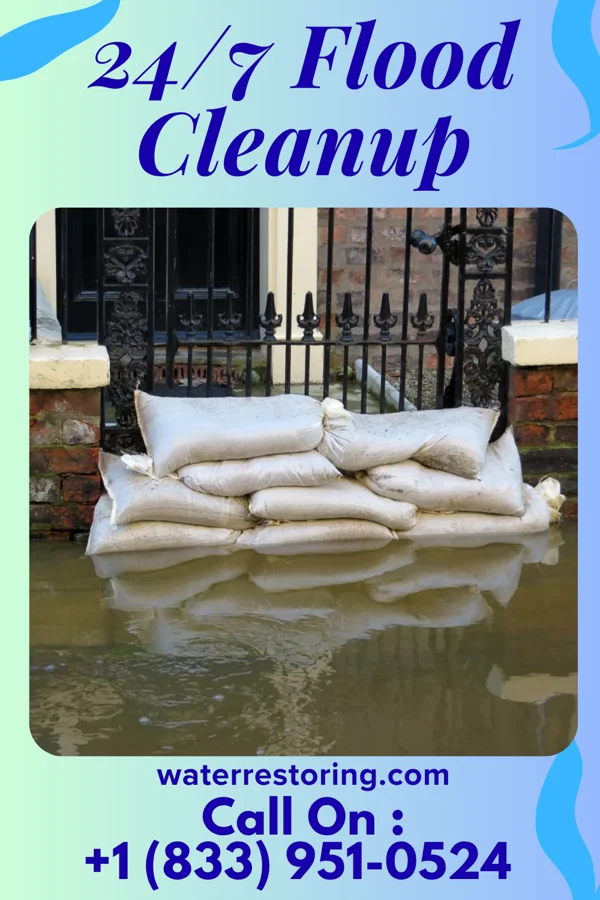 24/7 Flood Cleanup in Ponce Inlet, FL